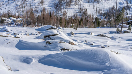 Boulders lie in snowdrifts in the valley. A layer of untouched snow on large rocks. Forest on a mountain slope. Altai
