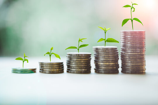 Coin stack growing graph with green plant growing on coins and green bokeh background. Investment and saving money or market growth concept.