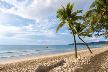 Palm trees during sunset on the beach of Bang Tao beach Phuket Thailand.
