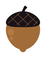 acorn icon image