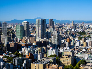 Naklejka premium Tokyo central area city view at daytime.