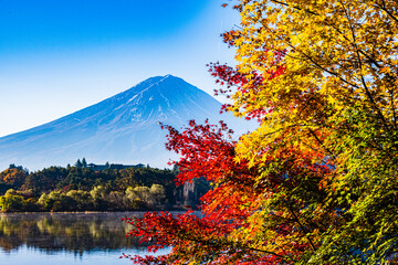富士山と紅葉