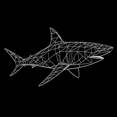 Geometric Line Art Shark