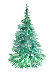 christmas tree isolated on white