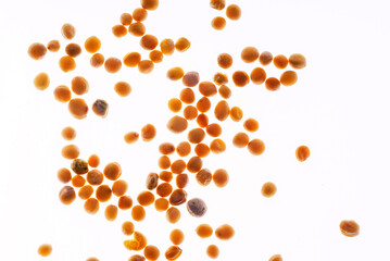 mustard seeds on the white background