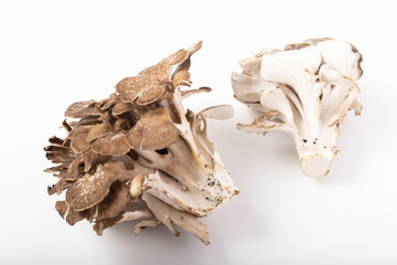 秋田県産　原木舞茸