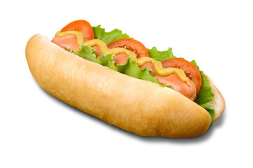 Fresh hot dog isolated on white