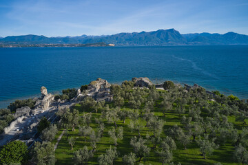 Fototapeta na wymiar Aerial view of the Grotte di Catullo ruins of a large Roman villa on the peninsula. Olive grove and archaeological museum. The grottoes at the very peak of the Sirmione peninsula. Lake Garda, Italy.