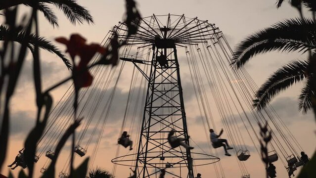 People riding a carousel with chains against a dusky sky. Evening recreation in an amusement park. View through the leaves of flowers and palm trees. Summer, fun, relaxation