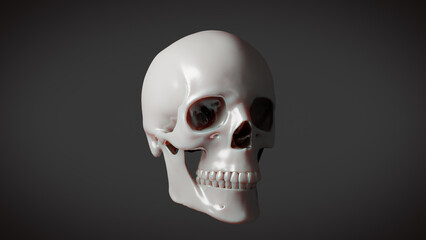 skull on a black background 3d Rendering