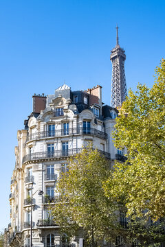 Paris, beautiful Haussmann facades in a luxury area of the capital, with the Eiffel Tower in background, avenue Rapp
