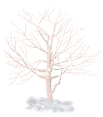 Winter tree in snow 
