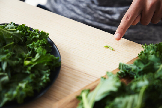 Person pointing at worm among salad leaves