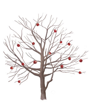 tree with red Apples