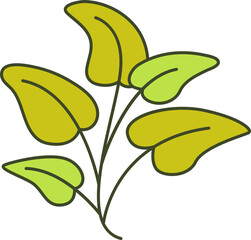 decorative leaves illustration