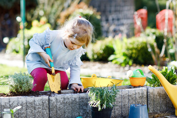Adorable little toddler girl holding garden shovel with green plants seedling in hands. Cute child...