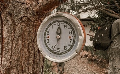old clock in the forest