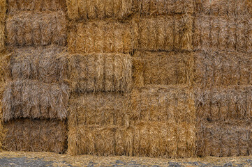 Close-up of square bales of wheat straw, stacked in large square mounds. rectangular bales of different shades of yellow and wet and dry. abstract, texture...