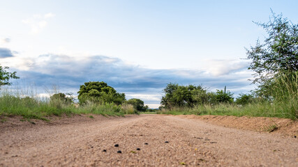 Fototapeta na wymiar Dirt road safari