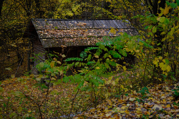 wooden houses in Ukraine