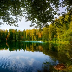 Fototapeta na wymiar Lake Surrounded by Trees