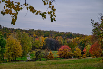 Fototapeta premium wooden houses in Ukraine