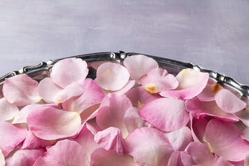 Close-up view of soft pink rose petals in silver tray, floral background, romantic concept