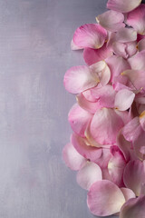 Close up view of pink rose petals on grey background, floral background with space for text, romantic concept