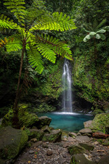 Scenic Waterfall Landscape in deep forest