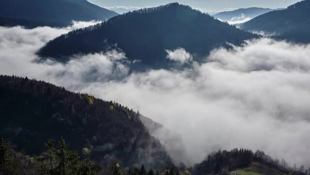 Low inversion clouds, foggy nature with a wave of low cloud cover valley