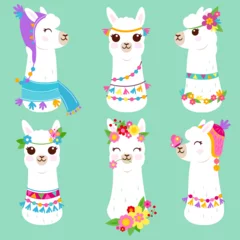 Foto auf Alu-Dibond Cute white llama or alpaca heads with flowers, knit hats and colorful traditional accessories.  Vector illustration © stockakia
