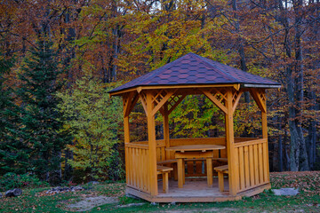 wooden house in the forest