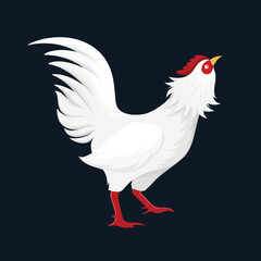 Chicken Cartoon Rooster White Vector Illustration