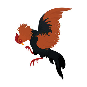Rooster Chicken Fighting Pose Cartoon Vector Illustration