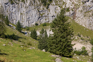Scenic shot of a landscape in switzerland