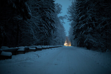 Road at night in forest. Light at end of road. Dark alley. Winter track at night.