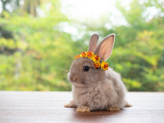 Baby gray rabbit wearing flower crown on head and sitting on wooden floor with green nature...