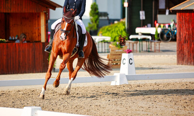 Horse dressage i, portrait with rider during a test at a canter turn in the support phase..
