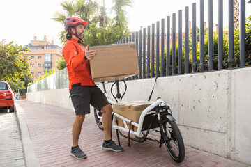 Cargo bike