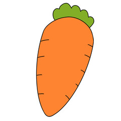carrot illustration
