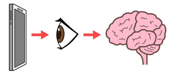 スマホを見る目と脳、瞳、横側