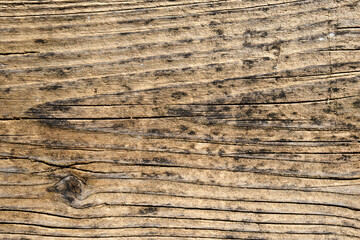 Weathered wooden board with beautiful grain, background.