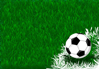 Fototapeta premium ball on football field background is so cool