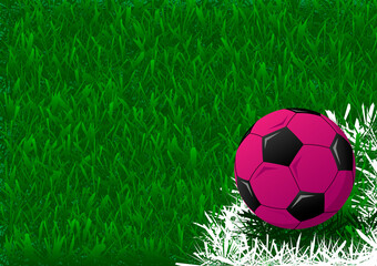 Fototapeta premium ball on football field background is so cool