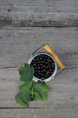 black currant in a grey jug