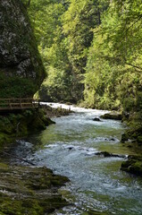 Fototapeta na wymiar Vintgar Klamm Slowenien Water River wild Rocks