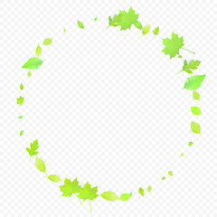 Leaves Falling Spring Flying Foliage Green Leaf