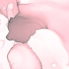 Obraz na płótnie Canvas Alcohol Ink. Oil Liquid Artistic Print. Mix Cloud