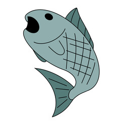 fish illustration