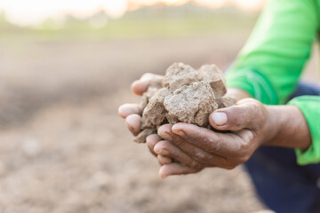 Hand holding dry soil at the field in sunrise or sunset time. Growth plant concept